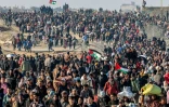 Marée humaine en route vers le nord de Gaza, dans le couloir de Netzarim, le 27 janvier 2025