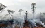Des feux de forêt dans le parc national Otuquis, le 26 août 2019 en Bolivie