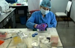 Un scientifique réalise un test ADN au Laboratoire national de médecine légale de Lalitpur, près de Katmandou, au Népal, le 19 septembre 2026