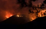 Un violent incendie ravage les collines proches de Larnaca, le 3 juillet 2021