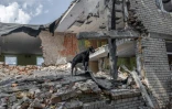 Une chèvre dans un bâtiment détruit par une frappe russe, à Mykolaïv, le 20 août 2022