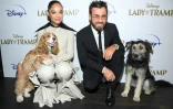 Tessa Thompson (G) et Justin Theroux, ici le 22 octobre 2019 à New York, ont prêté leur voix à "La Belle et le Clochard" pour le remake en prises de vue réelles du dessin animé de 1955