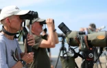Des ornithologues amateurs et des bénévoles de l'organisation Batumi Raptor Count (BRC) observent des rapaces qui migrent par le "goulot d’étranglement de Batoumi", le 22 septembre 2026 à Sakhalvasho, en Géorgie