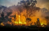 Des pompiers luttent contre un incendie dans la région touristique de Margaret River, le 8 décembre 2021 en Australie