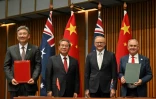 Le Premier ministre chinois Li Qiang (2e g), le ministre chinois du Commerce Wang Wentao (g), le Premier ministre australien Anthony Albanese (2e d) et le ministre autralien du commerce Don Farrell (d), lors d'une cérémonie de signatures au Parlement, le 17 juin 2024 à Canberra