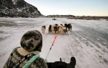 Le musher Nukaaraq Olsen conduit ses chiens de traineau pour une promenade près de Sisimiut, au Groenland, le 31 janvier 2026
