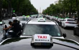 Des chauffeurs de taxis manifestent à Marseille, le 19 mai 2025