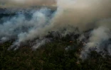 Un feu illégal en pleine forêt amazonienne à Porto Velho, Brésil, le 15 septembre 2021