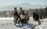 Course équestre le 29 janvier 2017 à Lichajowki près de Zakopane en Pologne