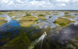 Un hydroglisseur traverse le marécage des Everglades, en Floride, le 30 septembre 2021