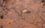 Vue aérienne du village de Bento Rodrigues, dans l'Etat brésilien de Minas Gerais, englouti sous la boue le 6 novembre 2015, au lendemain de la rupture d'un barrage de déchets miniers
