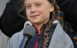 Greta Thunberg refuse de prendre l'avion, trop polluant, et avait traversé l'Atlantique en voilier pour participer début septembre à un sommet climat de l'ONU à New York avant de se rendre à Santiago pour la COP