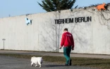 Un employé du refuge animalier Tierheim de Berlin promène un des chiens accueillis par le centre, le 23 février 2021
