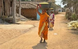Des villageoises portent des paniers de Mahua, des boutons d'or, dans le village de Paragaon, dans le district de Gariaband, le 13 mars 2025 dans l'Etat du Chhattisgarh, en Inde