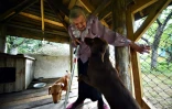 Ianina Statchko, 88 ans, le 11 août 2018 avec ses chiens dans sa maison à Kodi, au Belarus