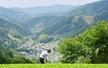 L'agriculteur japonais Yoshio Shoji dans sa plantation de thé, le 16 mai 2019 à Fujieda au Japon