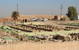 Le site archéologique de Nimrod, au sud de Mossoul, le 3 janvier 2025