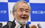 Yoshinori Ohsumi, lauréat du prix Nobel de médecine 2016, à Tokyo le 3 octobre 2016