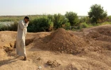 Un Irakien devant une fosse commune de jihadistes de l'EI à Dhoulouïya, à 90 km au nord de Bagdad, le 10 octobre 2017