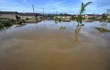Des inondations à Sainte-Elizabeth, en Jamaïque, après le passage de l'ouragan Melissa, le 29 octobre 2025