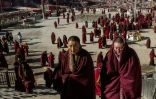 Des moniales bouddhistes tibétaines quittent le monastère après la prière, à l'Institut bouddhiste de Larung Gar à Sertar, dans la province chinoise du Sichuan, le 8 décembre 2015