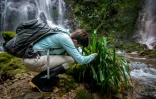 La biologiste Andrea Teran lors d'une expédition d'études d'amphibiens dans la forêt équatorienne à Junin, près de la cascade de Velo de Novia, dans la province d'Imbabura, le 29 avril 2022