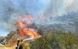 Les pompiers luttent contre l'incendie qui ravage les alentours de Santa Clarita le 25 juillet 2016 en Californie