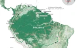 La déforestation en Amazonie