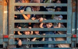 Des enfants à l'arrière d'un camion après la fuite de familles palestiniennes du camp d'al-Bureij, dans le centre de la bande de Gaza, où l'armée israélienne a lancé de nouvelles opérations, le 28 juillet 2024
