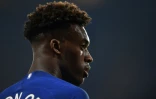 L'ailier international Callum Hudson-Odoi, qui évolue à Chelsea, le 22 avril 2019 à Londres