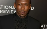 "j'espère que je n'ai pas été nommé parce que je suis noir", mais pour "mon travail", affirme l'acteur Mahershala Ali, le 5 janveir 2017 à New York