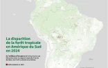 La disparition de la forêt tropicale en Amérique du Sud en 2024
