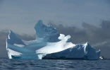 Un iceberg près de l'île de Half Moon, en Antarctique, le 8 novembre 2019