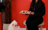 Clara Zambuto, fondatrice du café "Casa del Dogg"», tient un plateau de pâtisseries pour chiens, devant Loulou, un poméranien, le 7 mai 2026 à Paris