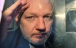 Le fondateur de WikiLeaks Julian Assange fait un geste derrière la vitre du fourgon de police qui l'emmène depuis le tribunal londonien de Southwark après sa condamnation à 50 semaines de prison, le 1er mai 2019