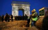 Action des agriculteurs de la Coordination rurale vendredi matin le 1er mars 2024 devant l'Arc de Triomphe