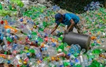 Un travailleur trie des bouteilles en plastique dans une installation de recyclage, le 10 juin 2023 à Panagoda (Sri Lanka) 