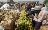 Des vendeurs sur le marché de la localité nigériane de Jibia, fontalière du Niger, le 18 février 2024