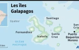 Les îles Galapagos