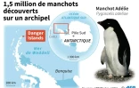 1,5 million de manchots découverts en Antarctique