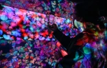 Un visiteur de l'exposition d'art numérique du collectif japonais "teamLab", le 5 février 2024 à Tokyo