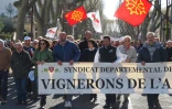 Manifestation de vignerons à Narbonne pour interpeller les candidats à la présidentielle et réclamer la fin de la "concurrence déloyale" des vins espagnols, le 25 mars 2017 