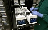 Des neurones cultivés en laboratoire placés dans des serveurs de l'entreprise australienne Cortical Labs à Melbourne, le 5 mai 2026
