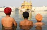 Des pèlerins sikhs indiens chaleureusement accueillis au Pakistan