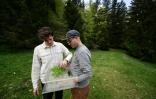 Luca (g) et Gaetan Gyger récoltent des plantes pour leur distillerie, le 10 mai 2022 à Souboz, en Suisse
