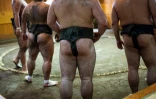 Lutteurs de sumo à l'entraînement à Tokyo, en août 2019