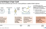 La technique Crispr-Cas9