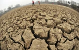 Des gens marchent sur la surface du lac asséché Hubei à Zhengzhou, dans la province centrale chinoise du Henan, le 12 février 2009 