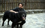 Ilija Karov, président du club canin macédonien, avec un chien Karaman au monastère Bigorski de Mavrovo i Rostuse, le 19 mars 2026 en Macédoine