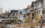 Chantiers de maisons en reconsruction un an après l'incendie qui a ravagé Fort McMurray, le 18 avril 2017